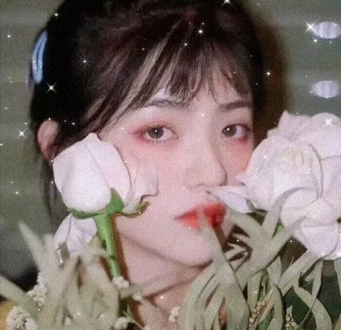 人鱼恋爱法则第一季