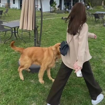 行过死荫之地